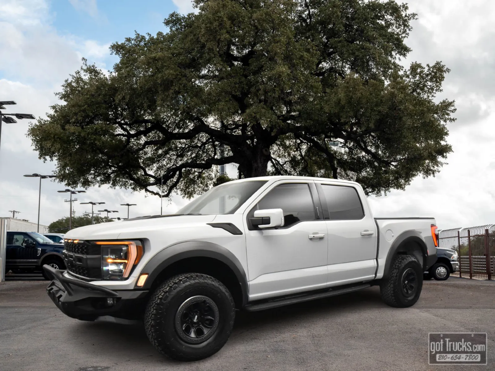 Gray 2023 Ford F-150 Raptor for sale in San Antonio, TX
