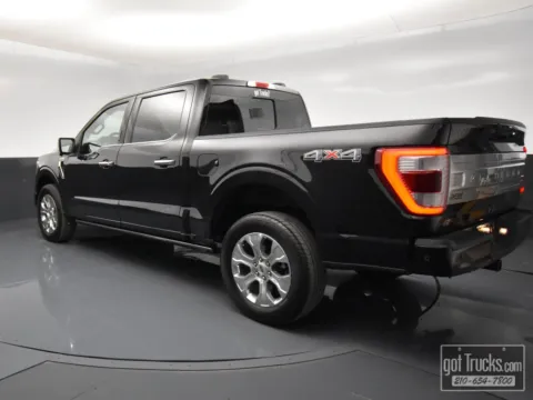 More photos of 2023 Ford F-150 Platinum at Trucks in Texas, TX