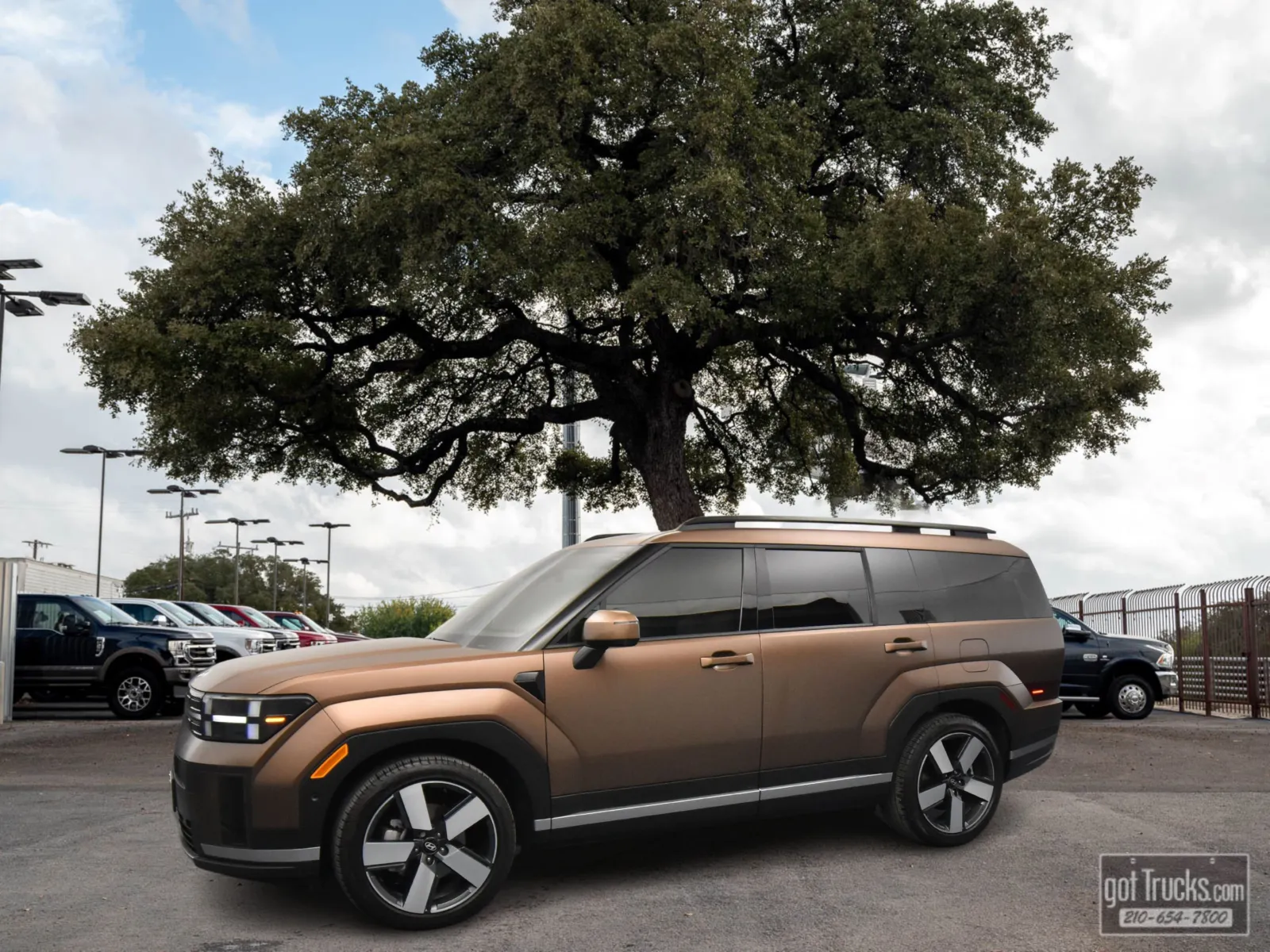 Brown 2024 Hyundai Santa Fe Limited for sale in San Antonio, TX