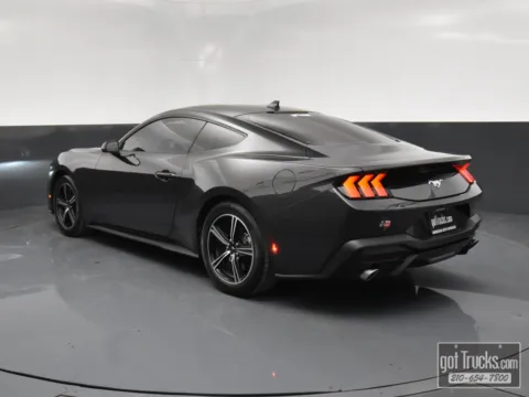More photos of 2024 Ford Mustang EcoBoost at got Trucks?, TX