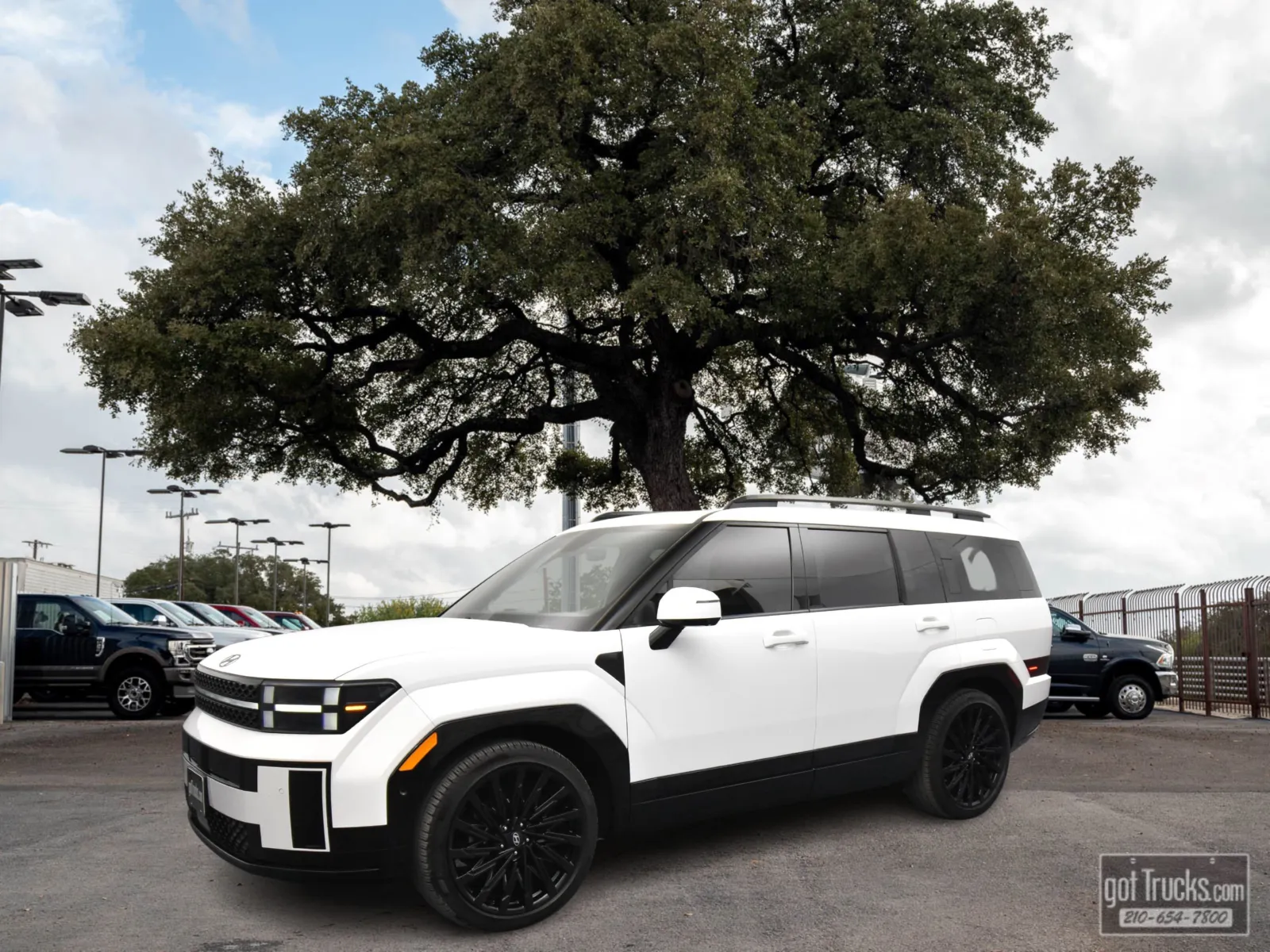 White 2024 Hyundai Santa Fe Calligraphy for sale in San Antonio, TX