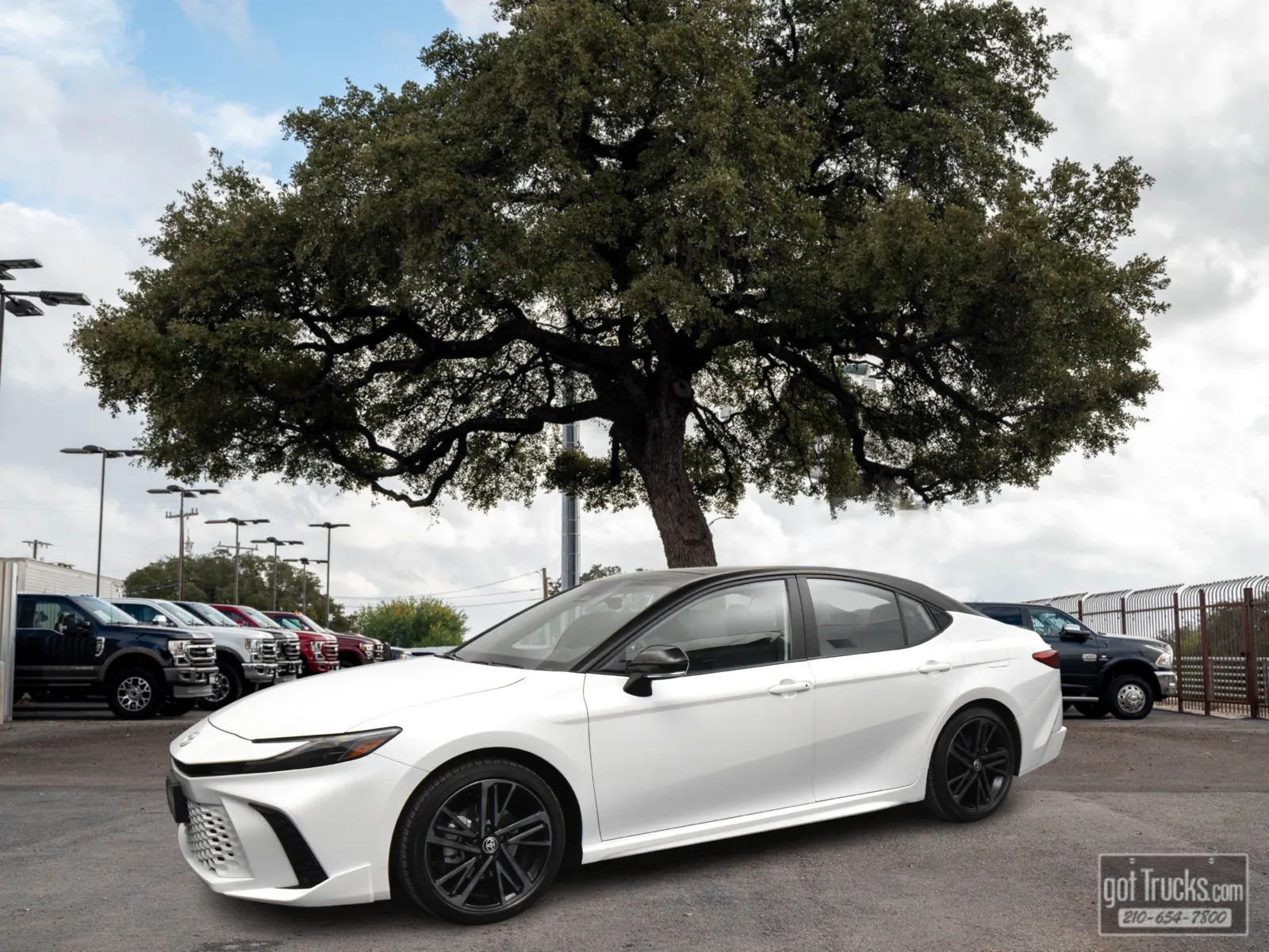White 2025 Toyota Camry XSE for sale in San Antonio, TX