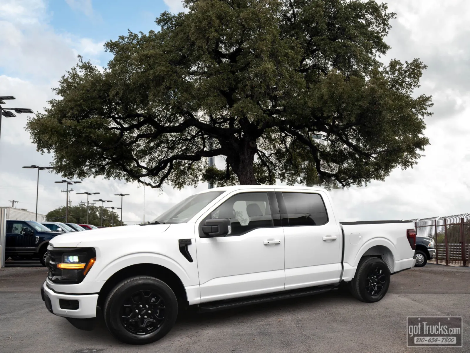 2025 Ford F-150 XLT's photo