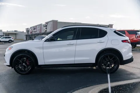 More photos of 2019 Alfa Romeo Stelvio Sport at Lux Motors, IN