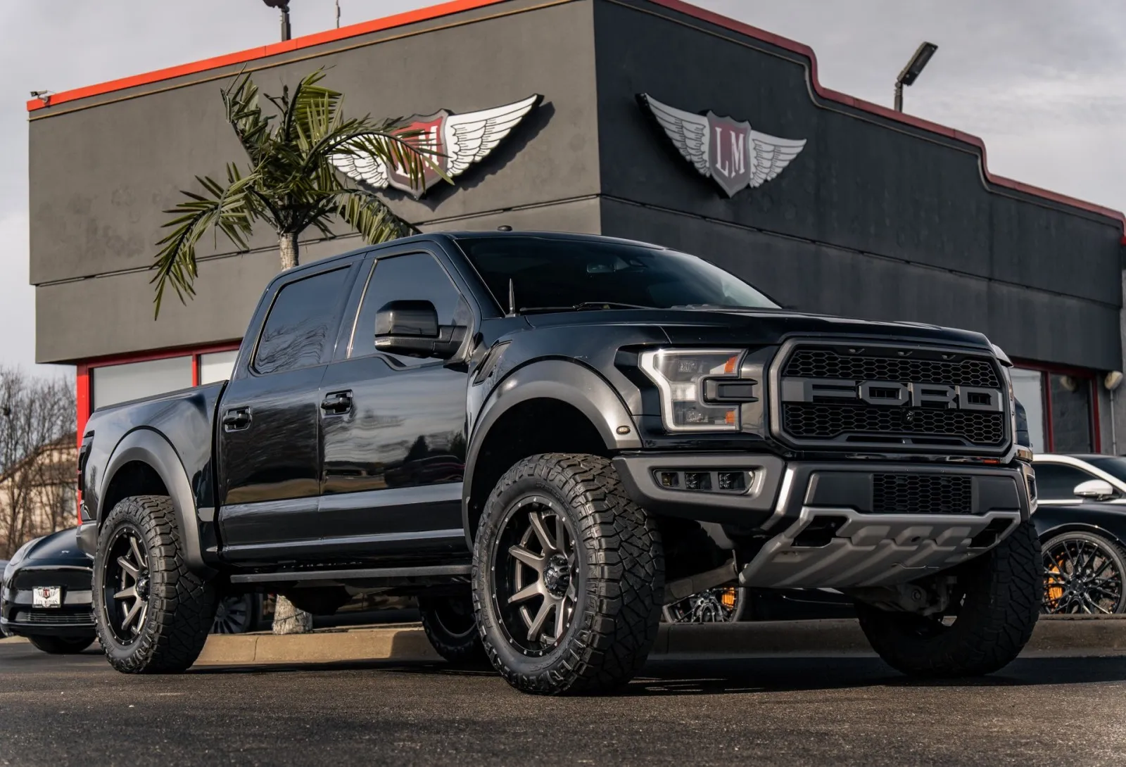 Black 2018 Ford F-150 Raptor for sale in Evansville, IN