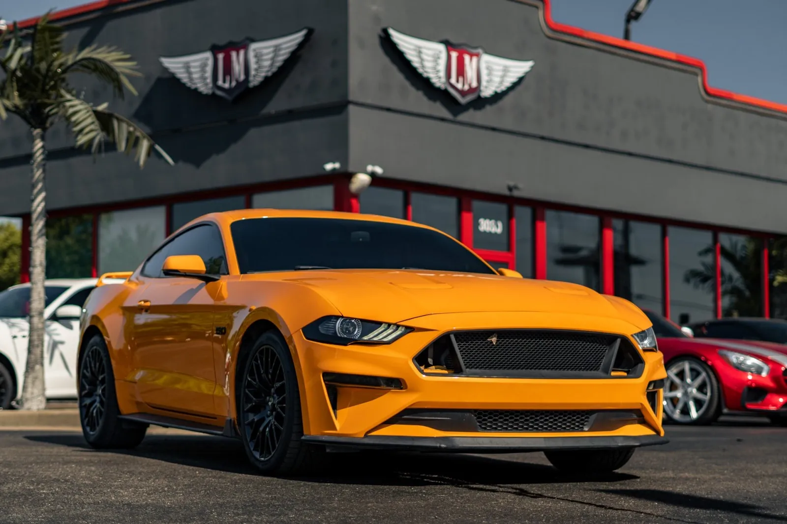 Orange 2019 Ford Mustang GT Premium for sale in Evansville, IN