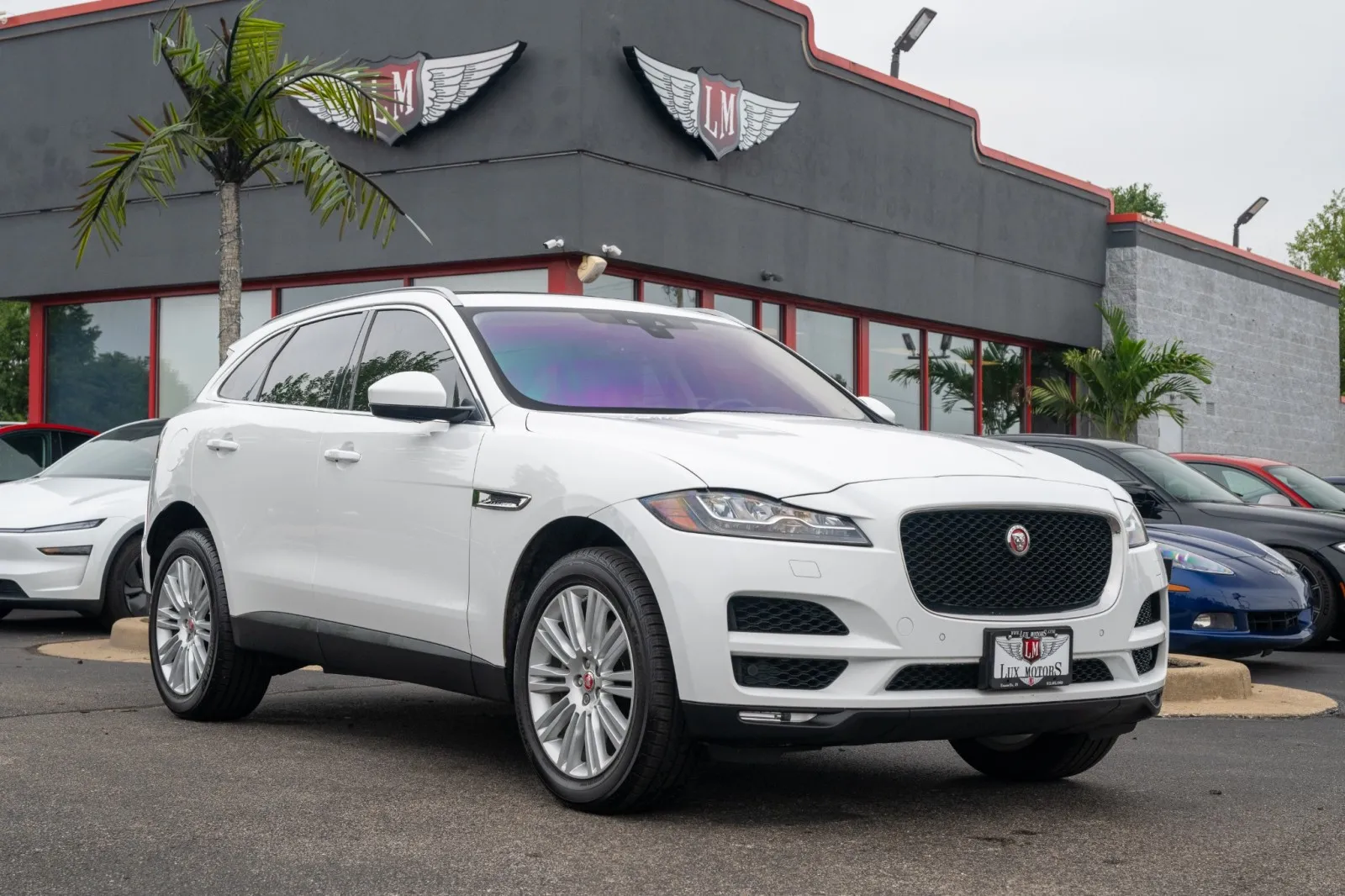 White 2020 Jaguar F-PACE 30t Portfolio for sale in Evansville, IN