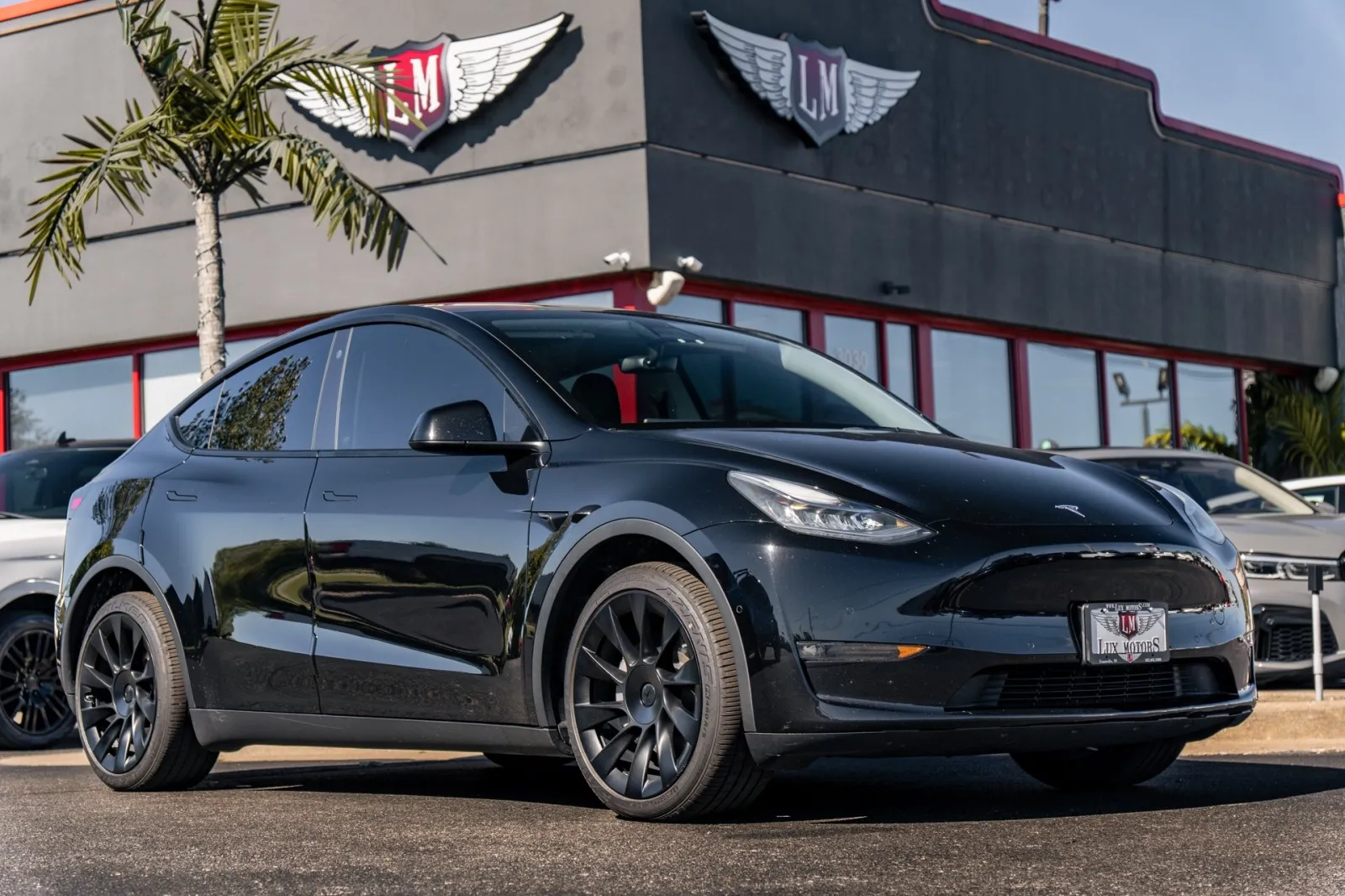 Black 2021 Tesla Model Y Long Range for sale in Evansville, IN