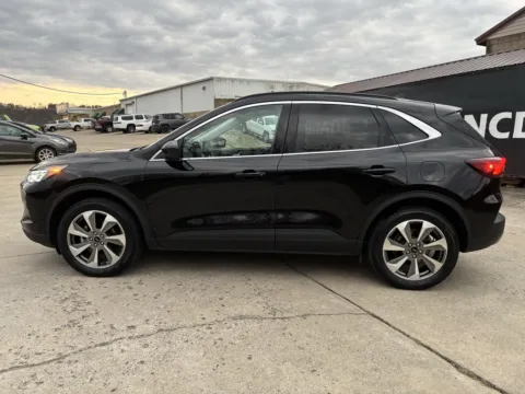More photos of 2024 Ford Escape Platinum at Braden Chrysler Dodge Jeep Ram, OH