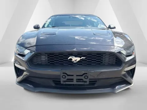 Photos of 2023 Ford Mustang EcoBoost Premium for sale in Gallipolis, OH at Braden Chrysler Dodge Jeep Ram