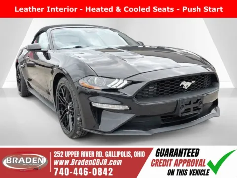 Purple 2023 Ford Mustang EcoBoost Premium for sale in Gallipolis, OH