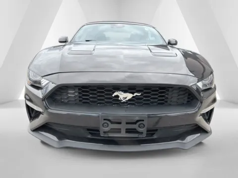 Photos of 2023 Ford Mustang EcoBoost Premium for sale in Gallipolis, OH at Braden Chrysler Dodge Jeep Ram
