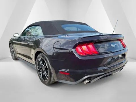 More photos of 2023 Ford Mustang EcoBoost Premium at Braden Chrysler Dodge Jeep Ram, OH