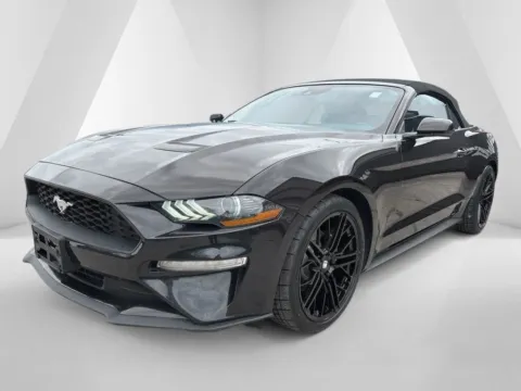 Another view of 2023 Ford Mustang EcoBoost Premium for sale in Gallipolis, OH at Braden Chrysler Dodge Jeep Ram