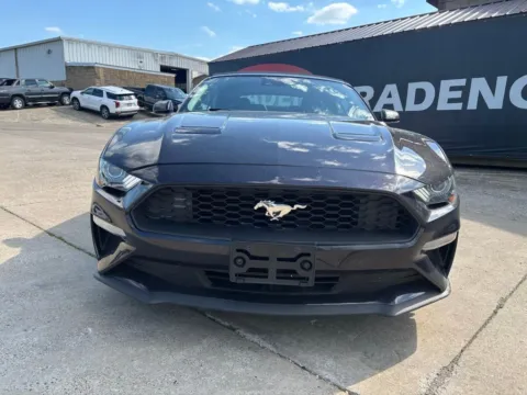 Photos of 2023 Ford Mustang EcoBoost Premium for sale in Gallipolis, OH at Braden Chrysler Dodge Jeep Ram