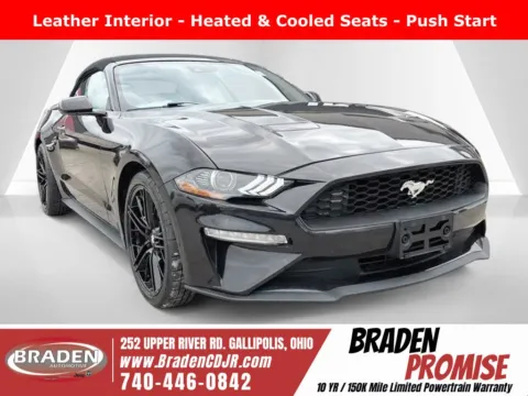Purple 2023 Ford Mustang EcoBoost Premium for sale in Gallipolis, OH