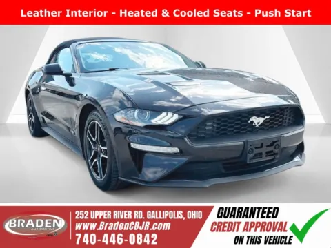 Purple 2023 Ford Mustang EcoBoost Premium for sale in Gallipolis, OH