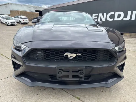 Photos of 2023 Ford Mustang EcoBoost Premium for sale in Gallipolis, OH at Braden Chrysler Dodge Jeep Ram