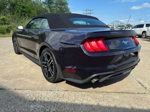 More photos of 2023 Ford Mustang EcoBoost Premium at Braden Chrysler Dodge Jeep Ram, OH