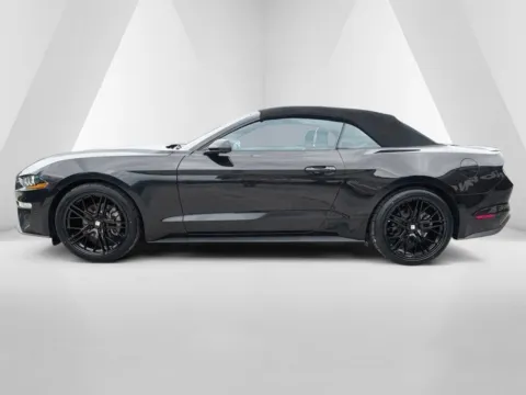 More photos of 2023 Ford Mustang EcoBoost Premium at Braden Chrysler Dodge Jeep Ram, OH