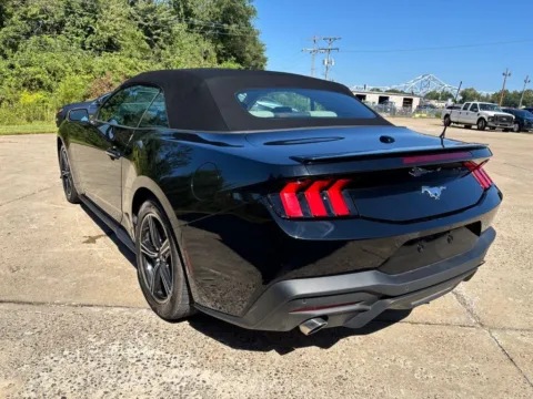 More photos of 2024 Ford Mustang EcoBoost Premium at Braden Chrysler Dodge Jeep Ram, OH