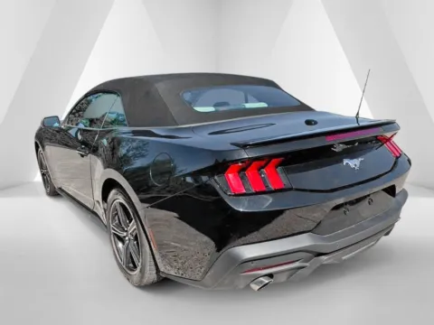 More photos of 2024 Ford Mustang EcoBoost Premium at Braden Chrysler Dodge Jeep Ram, OH