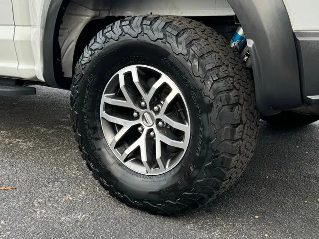 2018 Ford F-150 Raptor - Photo 21