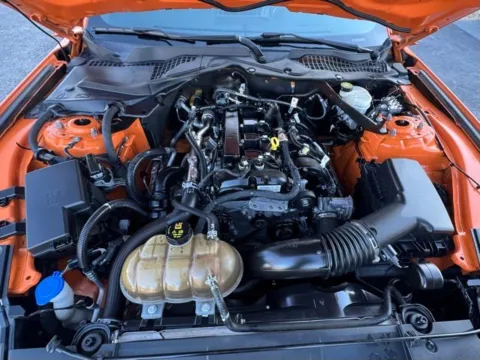 Photos of 2021 Ford Mustang EcoBoost Premium for sale in Clayton, NC at Frontline Motors Clayton