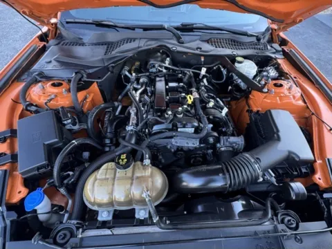 Photos of 2021 Ford Mustang EcoBoost Premium for sale in Clayton, NC at Frontline Motors Clayton