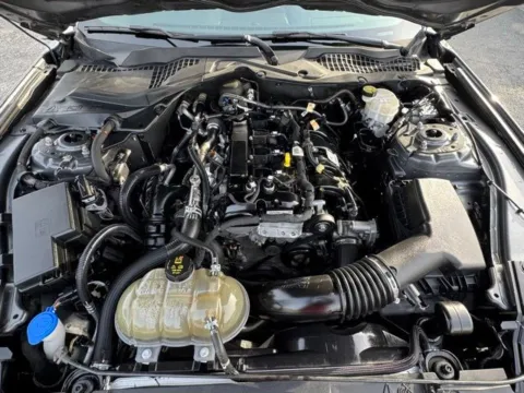 Photos of 2023 Ford Mustang EcoBoost for sale in Clayton, NC at Frontline Motors Clayton