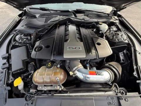 Photos of 2019 Ford Mustang GT for sale in Clayton, NC at Frontline Motors Clayton