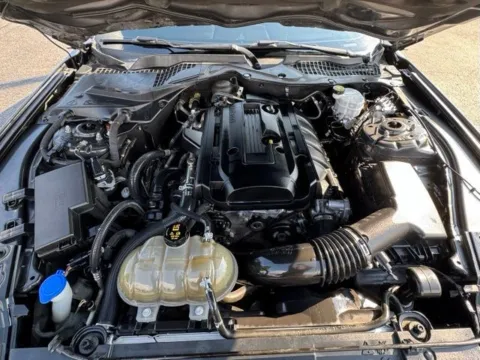 Photos of 2020 Ford Mustang EcoBoost for sale in Clayton, NC at Frontline Motors Clayton