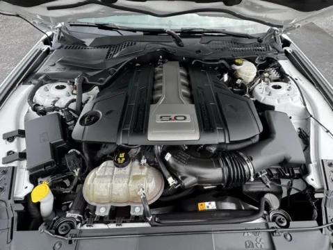 Photos of 2018 Ford Mustang GT for sale in Clayton, NC at Frontline Motors Clayton