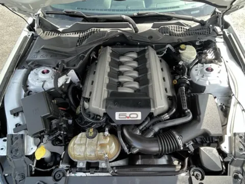 Photos of 2016 Ford Mustang GT Premium for sale in Clayton, NC at Frontline Motors Clayton
