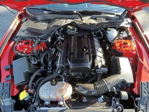 Photos of 2019 Ford Mustang EcoBoost for sale in Clayton, NC at Frontline Motors Clayton