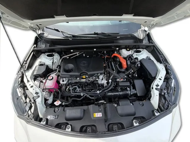 View 26