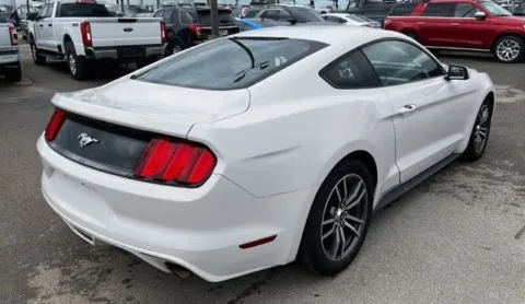 More photos of 2017 Ford Mustang EcoBoost at Brandon Reeves Auto World, NC