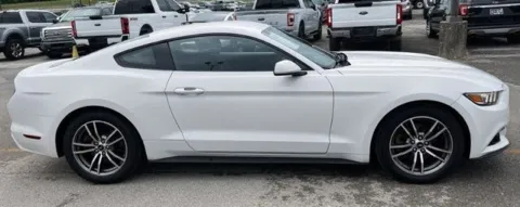 Another view of 2017 Ford Mustang EcoBoost for sale in Monroe, NC at Brandon Reeves Auto World