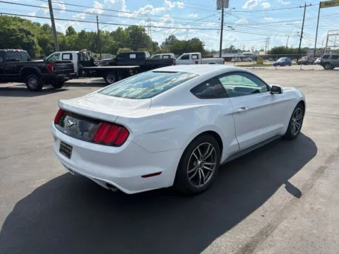 More photos of 2017 Ford Mustang EcoBoost at Brandon Reeves Auto World, NC