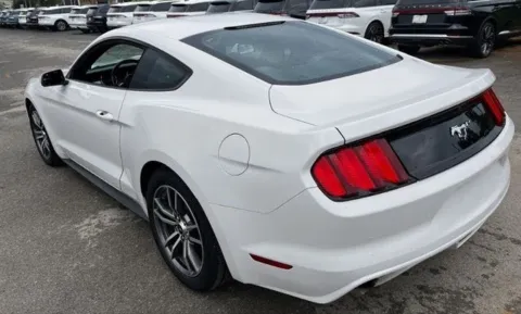 More photos of 2017 Ford Mustang EcoBoost at Brandon Reeves Auto World, NC