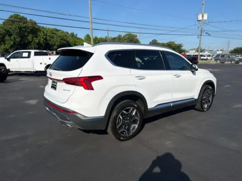 More photos of 2023 Hyundai Santa Fe Limited at Brandon Reeves Auto World, NC