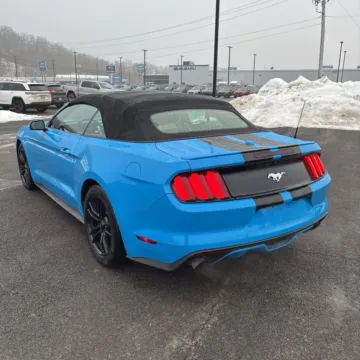More photos of 2017 Ford Mustang EcoBoost Premium at Smart Buy Auto Sales, CT