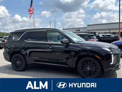 Another view of 2025 Hyundai Palisade Calligraphy Night Edition for sale in Florence, SC at ALM Hyundai Florence
