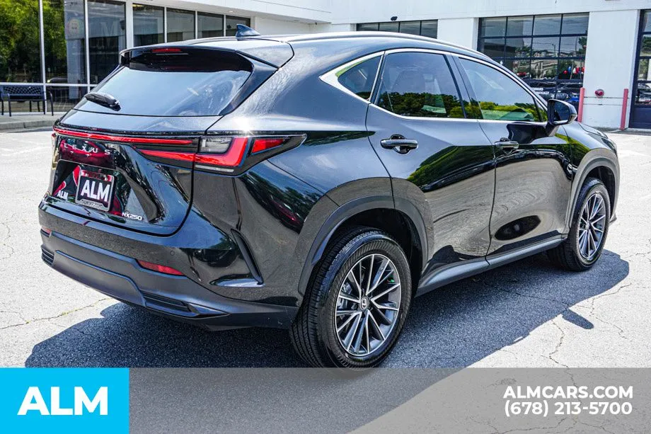 2025 Lexus NX 250 - Photo 6