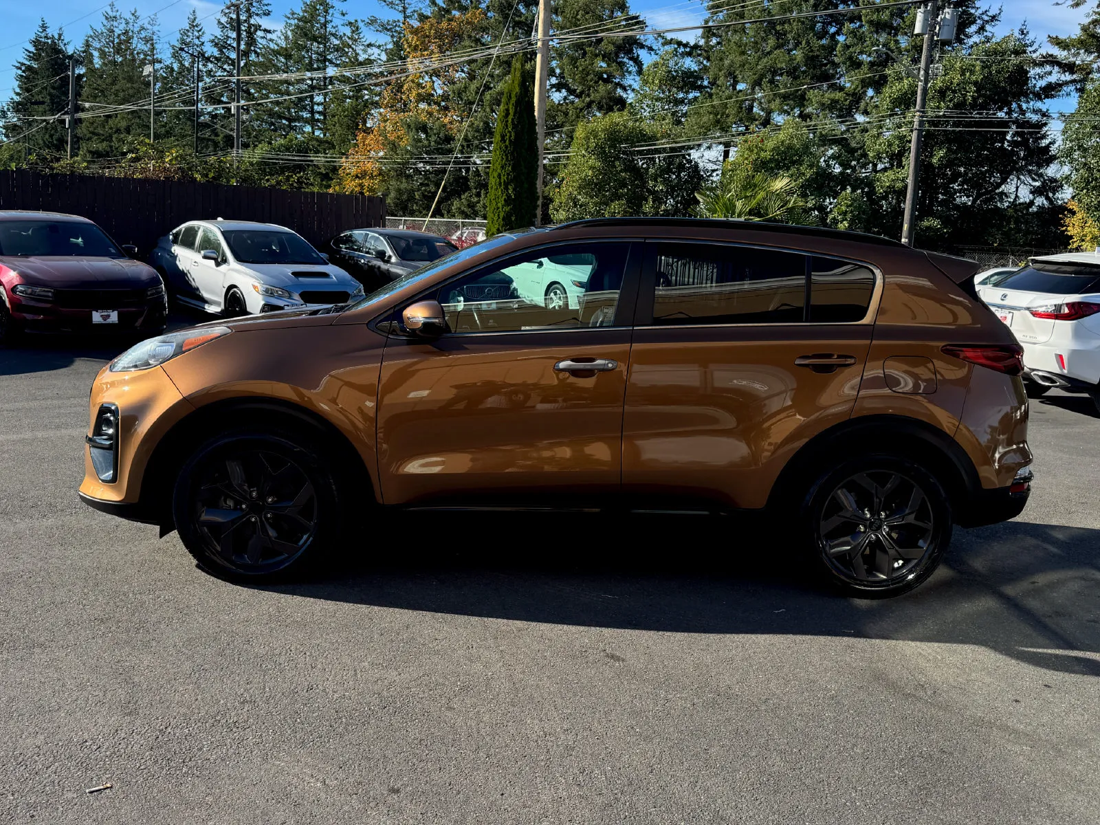 Kia Sportage photo 4