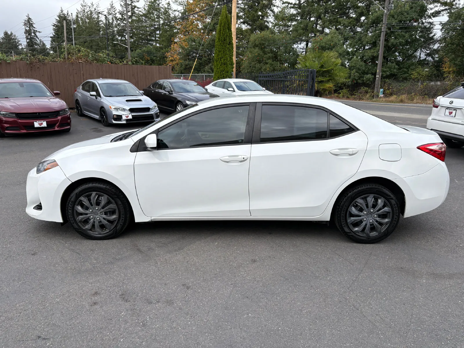 Toyota Corolla photo 4