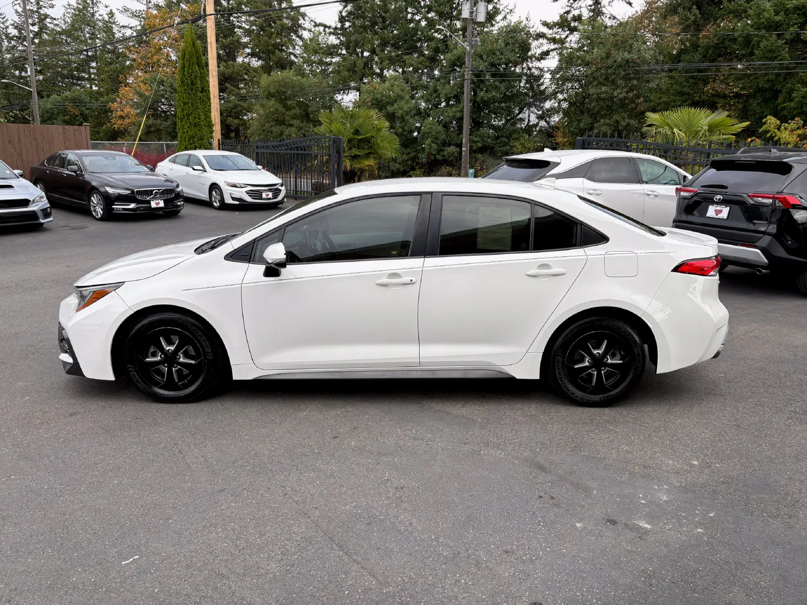 Toyota Corolla photo 4