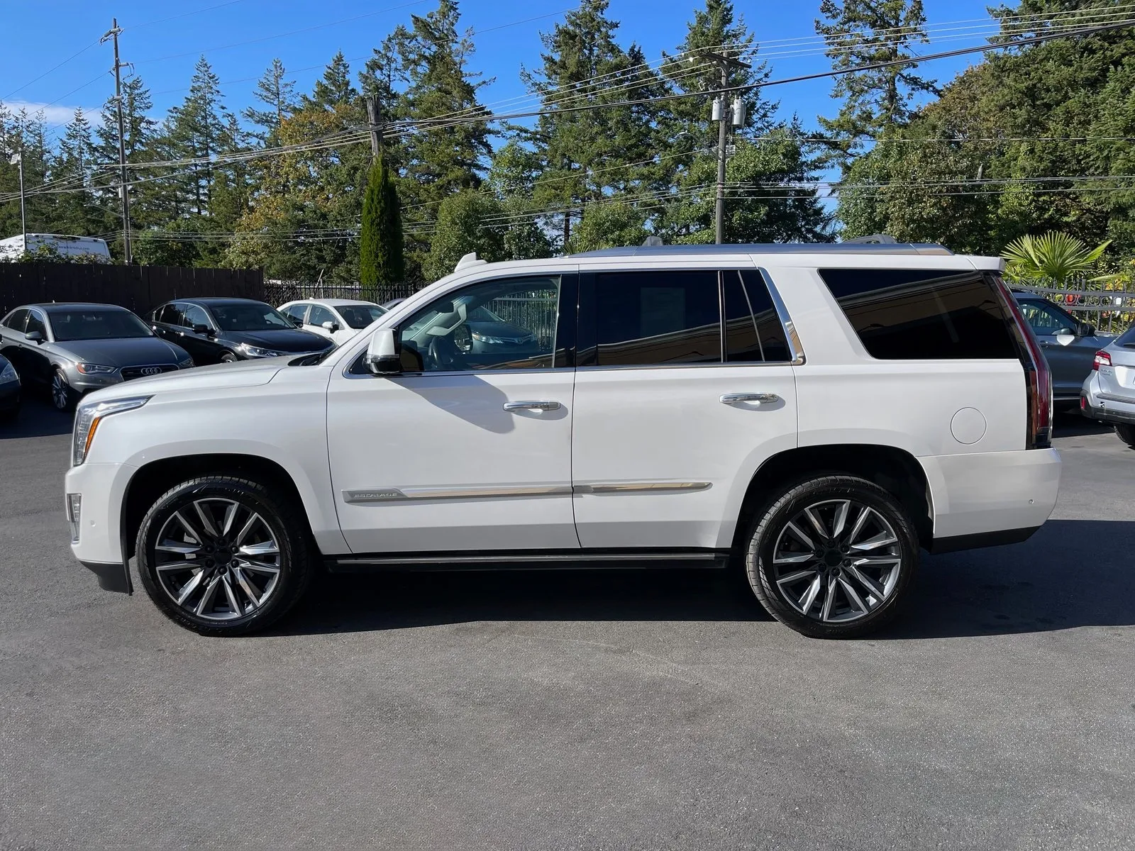 2017 Cadillac Escalade Premium Luxury photo 2