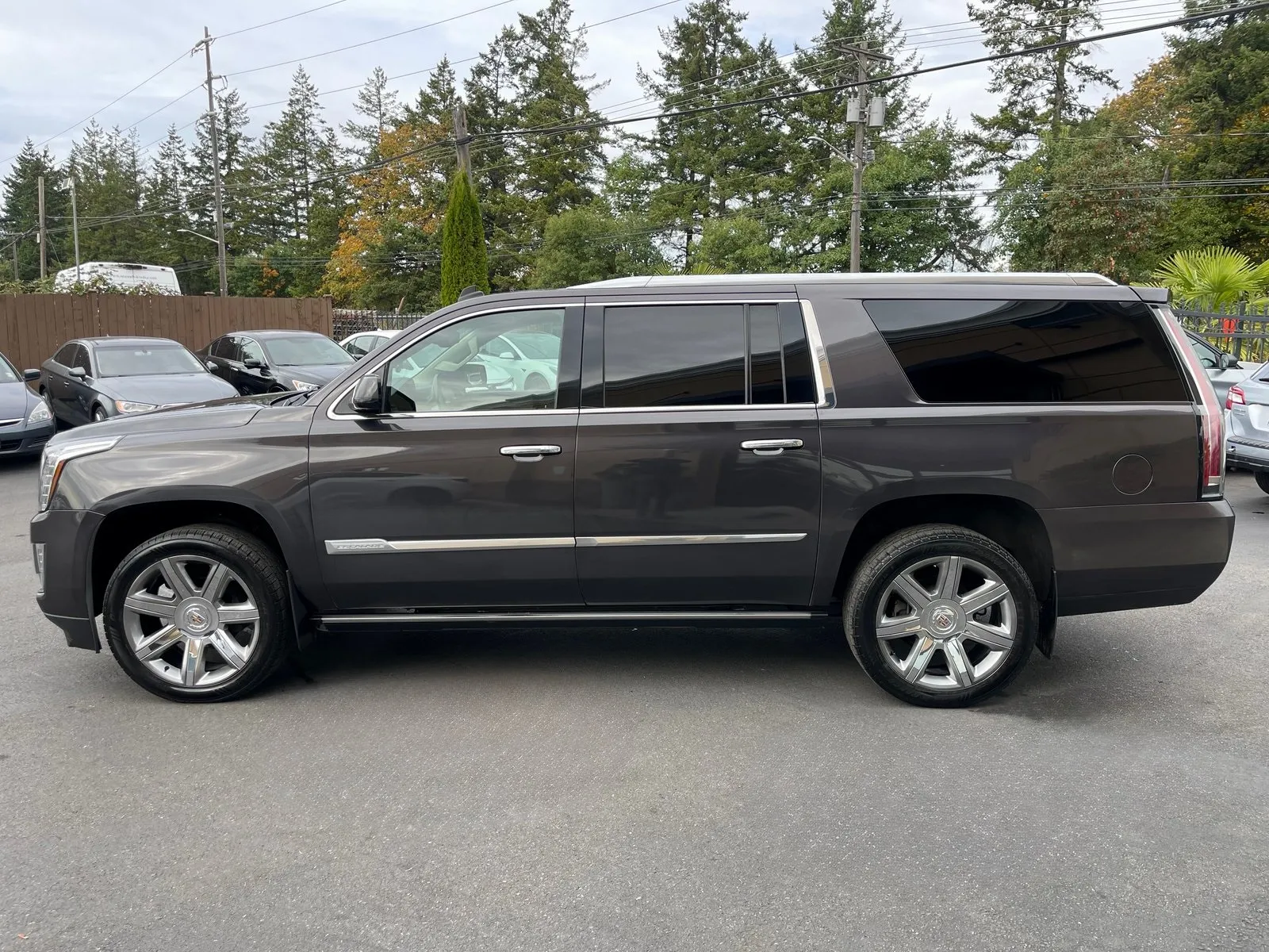 2015 Cadillac Escalade ESV Premium photo 2