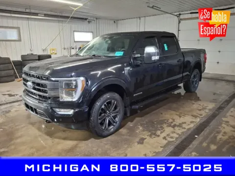 Black 2022 Ford F-150 Lariat for sale in Michigan Center, MI